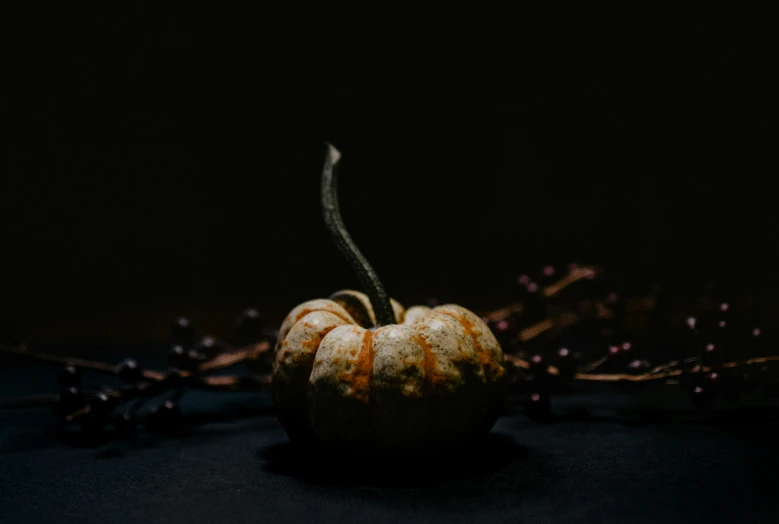 a small orange sits in front of dark background