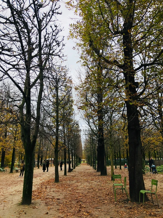 the leaves are falling on the park benches