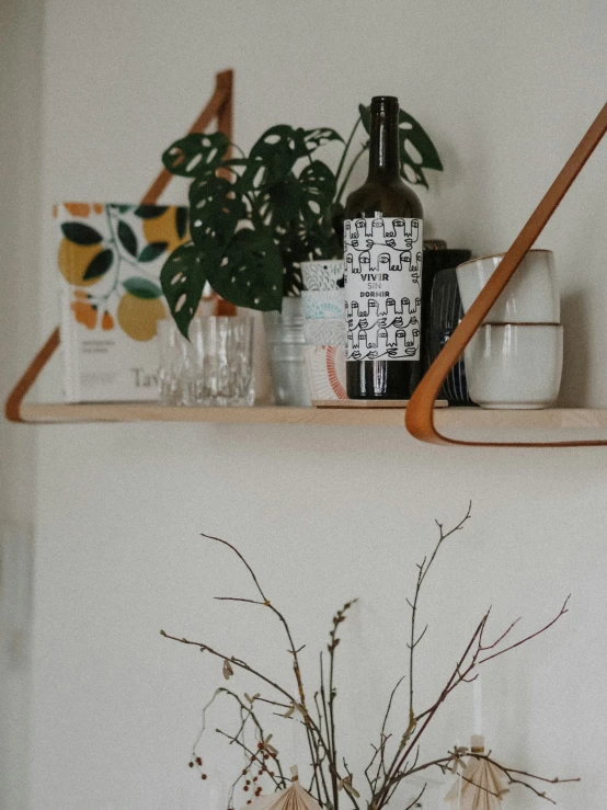 there are plants and mugs on a shelf