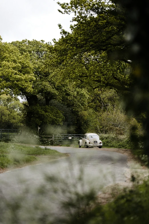 a van on the side of a tree lined road