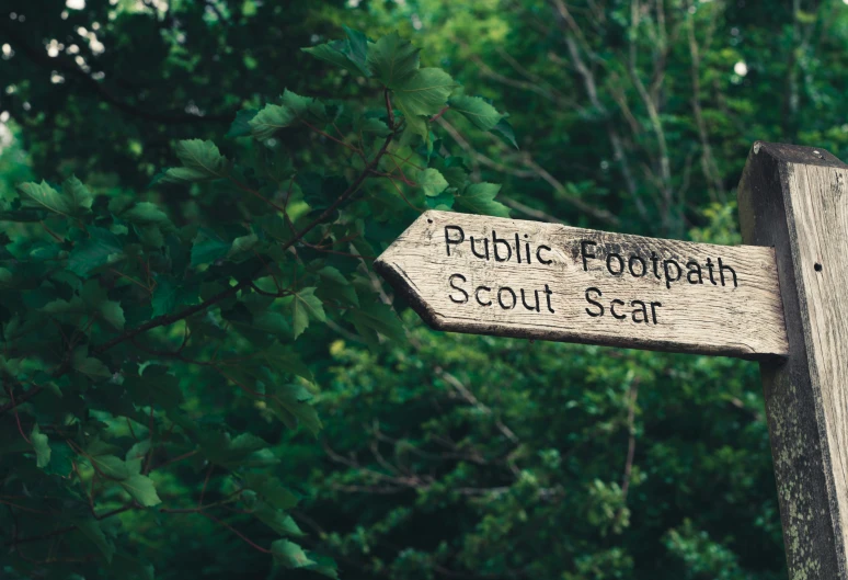 a sign points in the direction of public toothbrush scouts