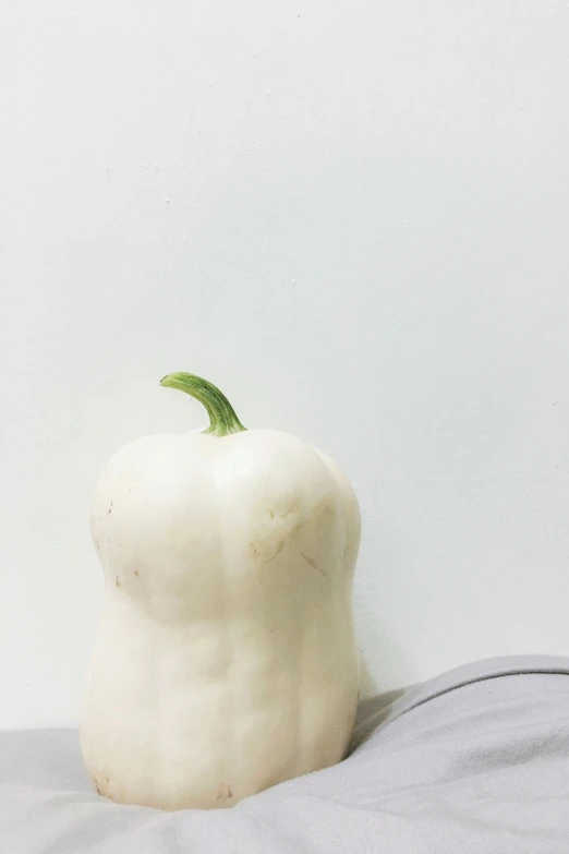 a white pepper sitting on top of a bed