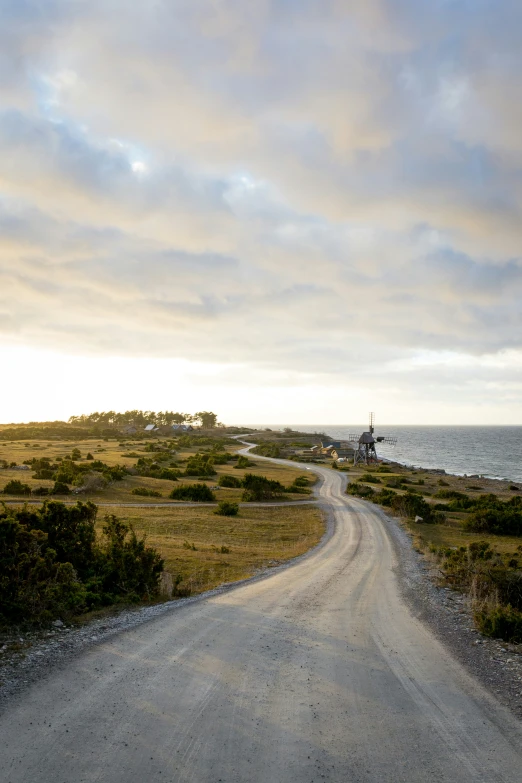 a gravel road running through a small green field