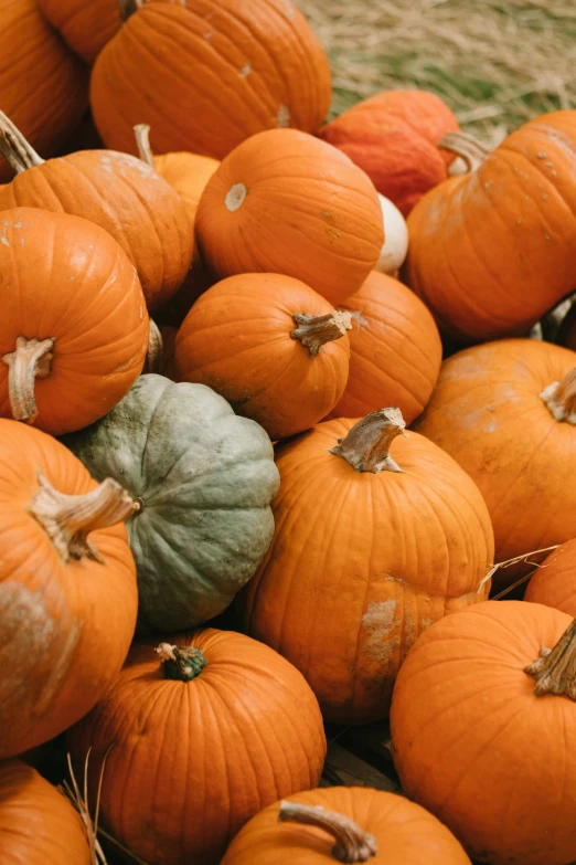 some pumpkins are stacked on the grass