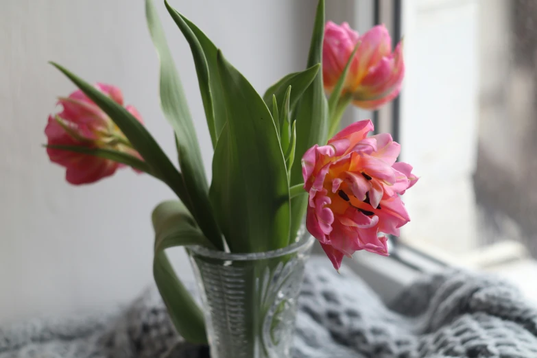 flowers in a vase, in front of a window