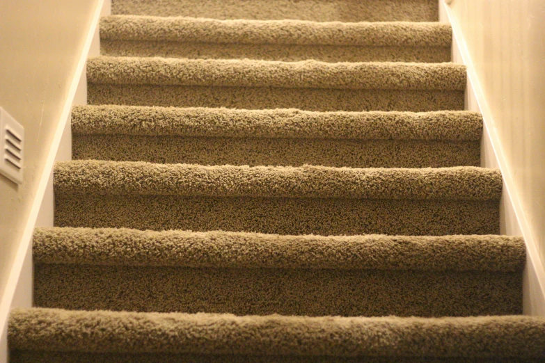 some stairs with light brown carpet and white walls