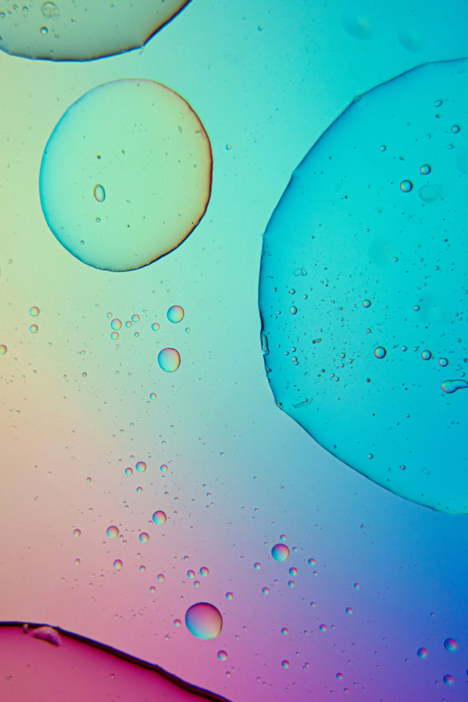 some drops of water sitting on top of a blue and pink surface