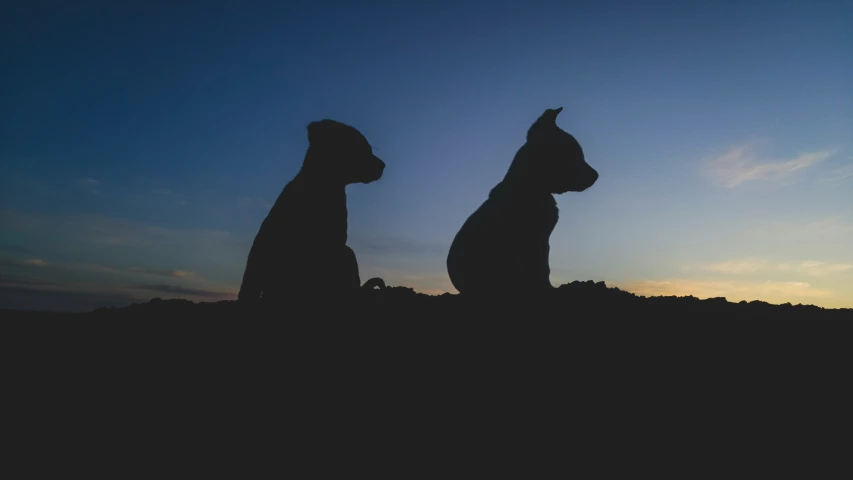 two statues are in silhouette against the sun