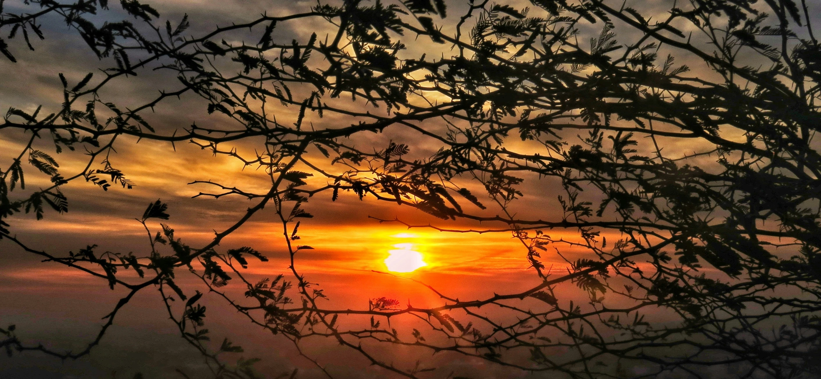 the sun is rising on top of a gray mountain