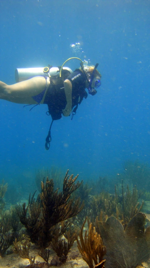 an underwater view of a woman snorsing