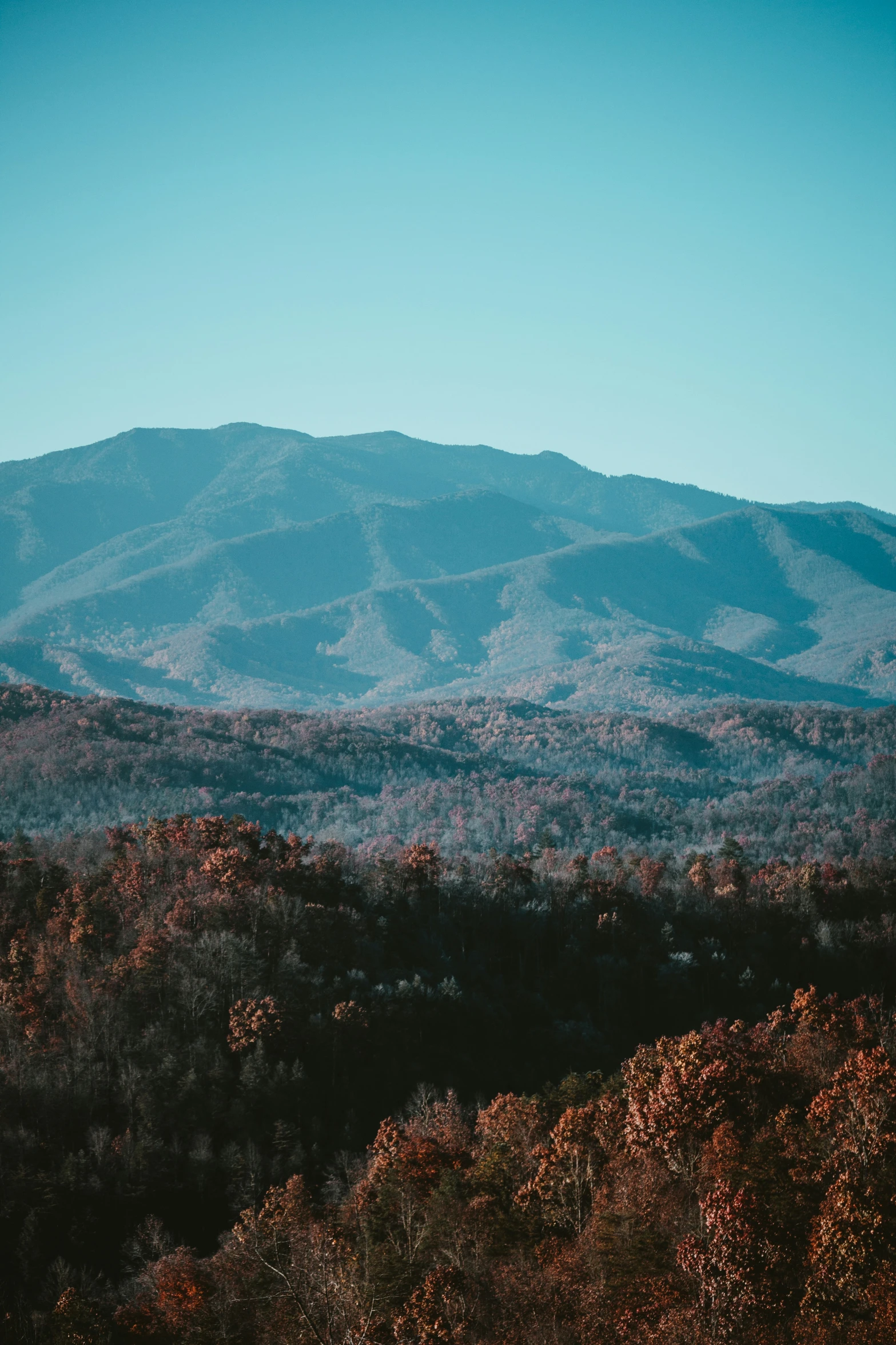 mountains and trees are in the distance near each other