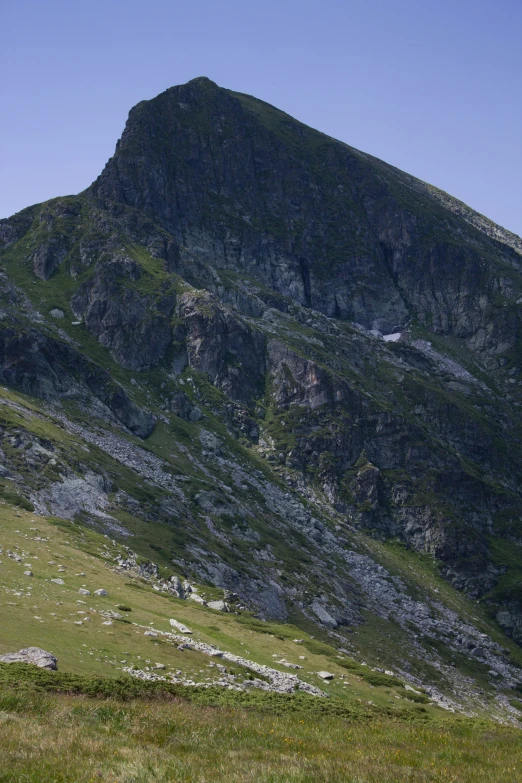 a sheep grazing near a large mountain with green grass on top