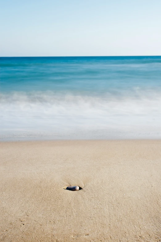 a shell lies on a sandy beach while blue ocean waves come in