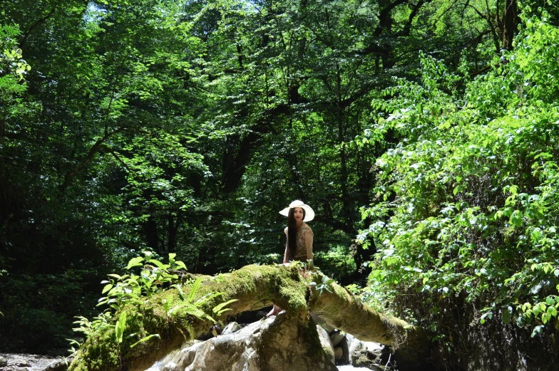 a person stands on some mossy rocks next to trees