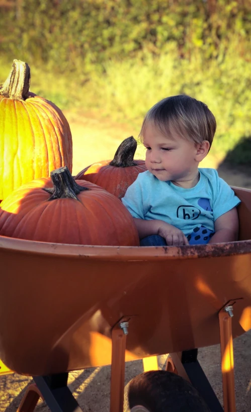 small child in a wagon with pumpkins