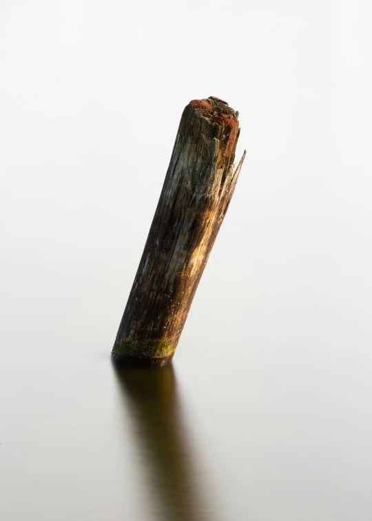 a piece of wood sitting on top of water