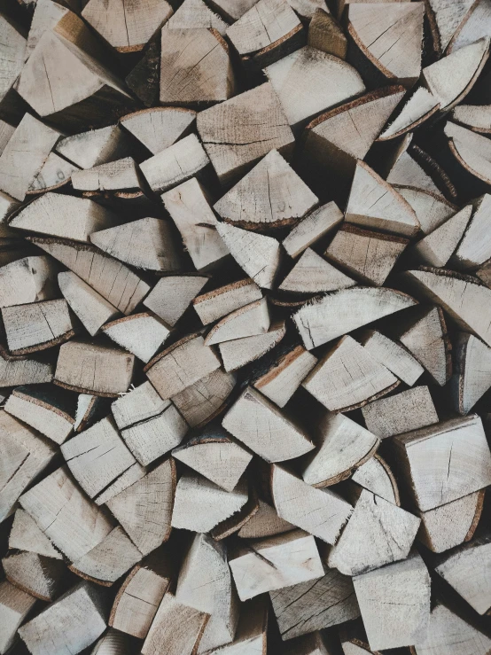 wood scraps close up with a black background