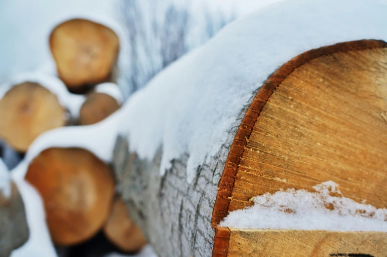 logs stacked with snow on them in the yard