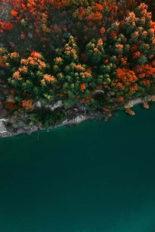 an aerial s of a river running through an forest