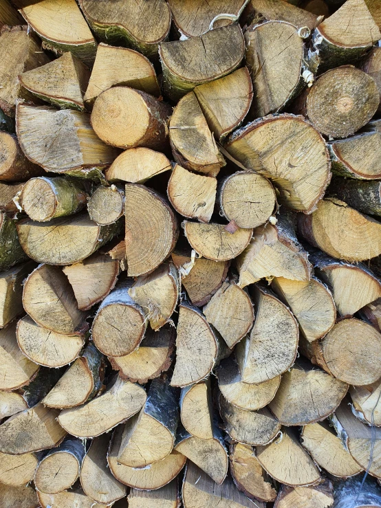 cut logs are stacked with a log background