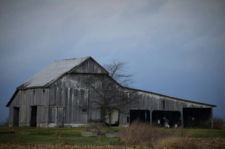 a large grey barn with a tree and grassy area around it