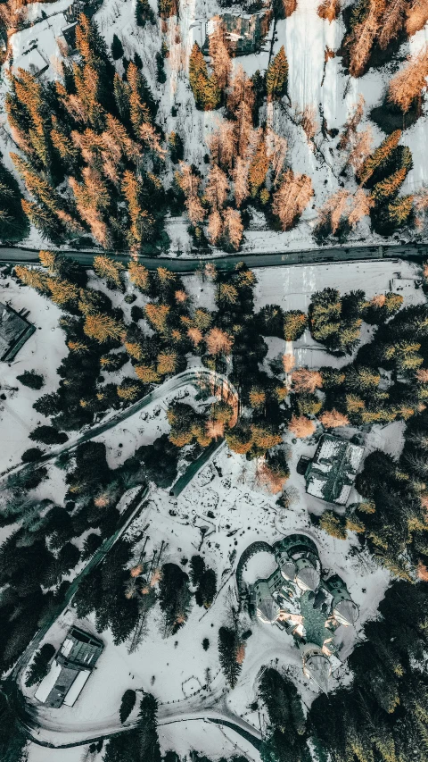 aerial pograph of a landscape with trees and a forest area