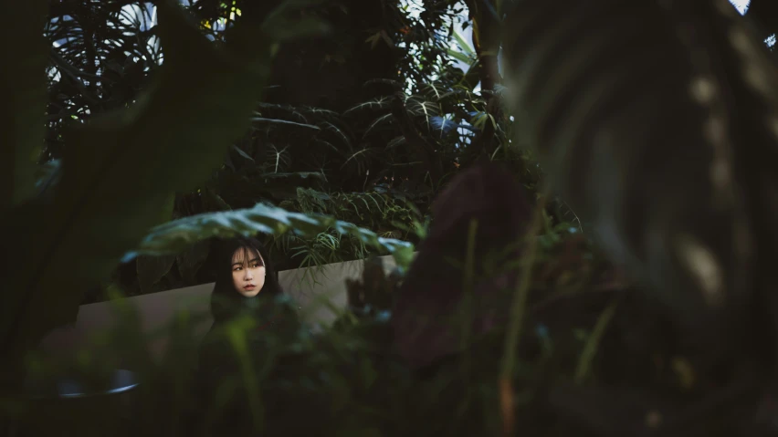 a person in the foreground has their face obscured by foliage