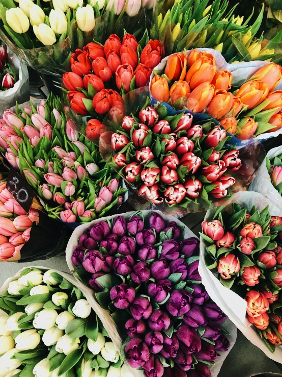 a group of pots filled with different types of flowers