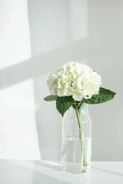 a clear vase with white flowers inside of it