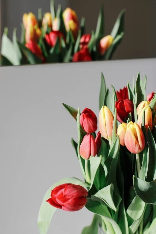 tulips are arranged in a glass vase near other flower stalks