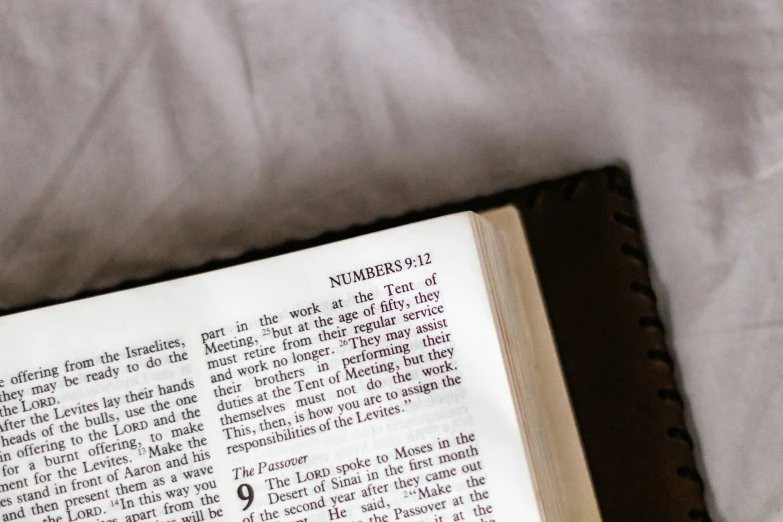 an open book laying on a bed with text