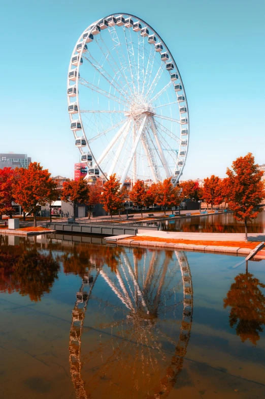 a large ferris wheel sitting above a body of water