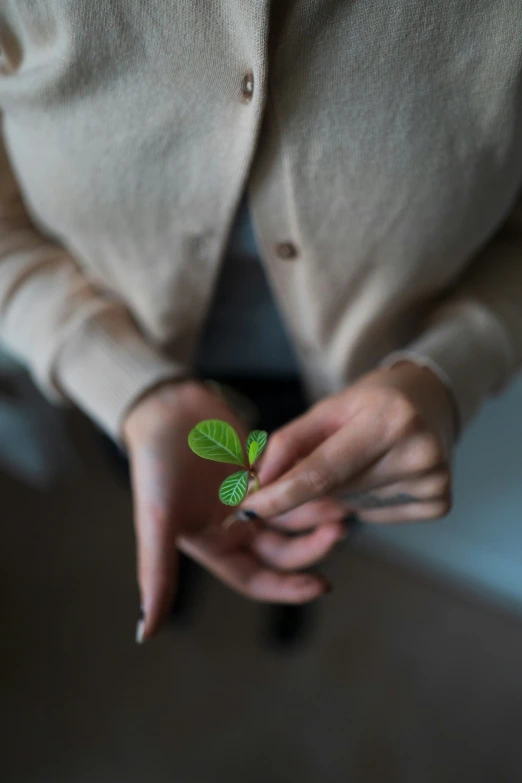 the woman is holding some green plants in her hands