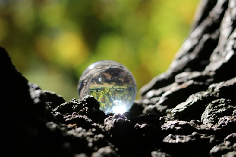 a glass ball is sticking out from some rocks