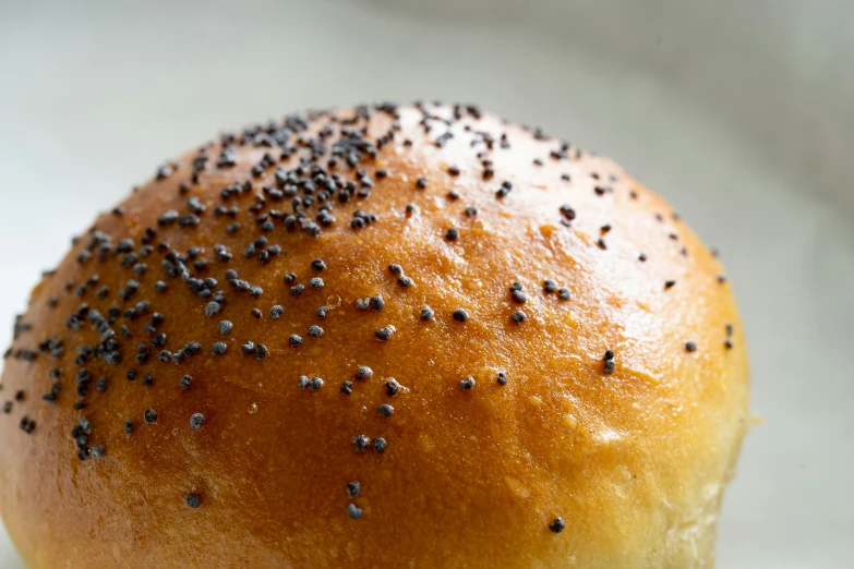 a bun that has seeds on it