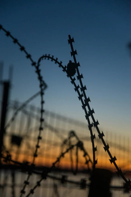 a close up s of barbed wire at sunset