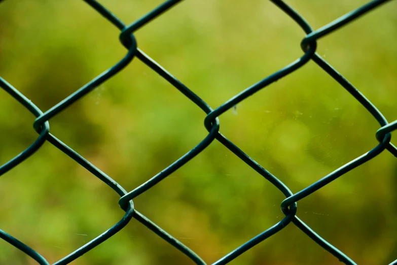 closeup of a chain link fence with grass in the background