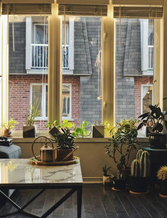 a couple of windows that have plants in them