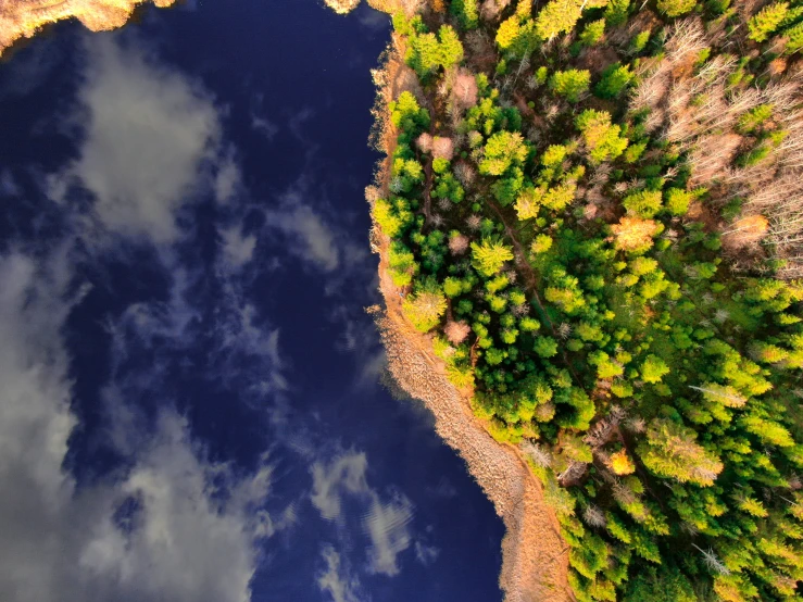 an aerial view of a landscape with blue lake and trees