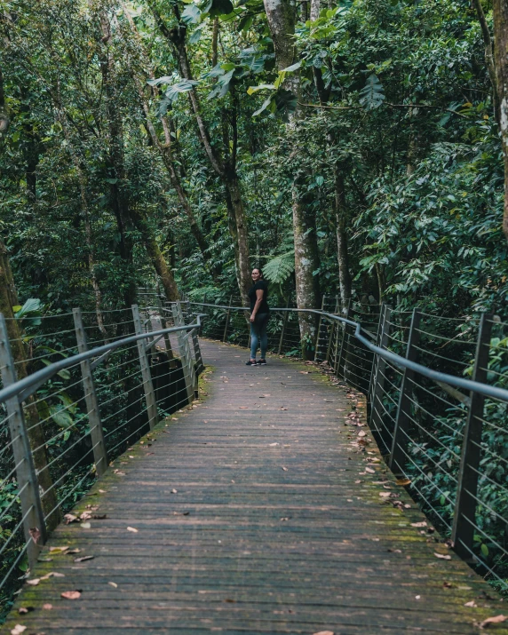 a long bridge in the middle of a forest