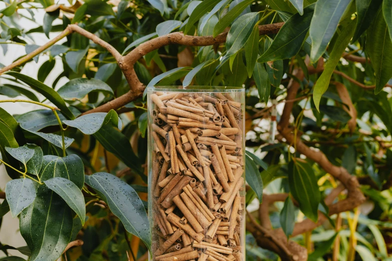 a close up of a bird feeder covered with peanuts