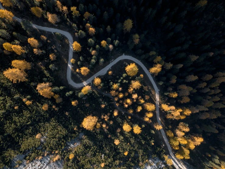 winding roads, surrounded by autumn trees and surrounded by snow