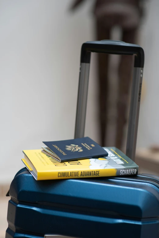 two passport books on top of a blue suitcase