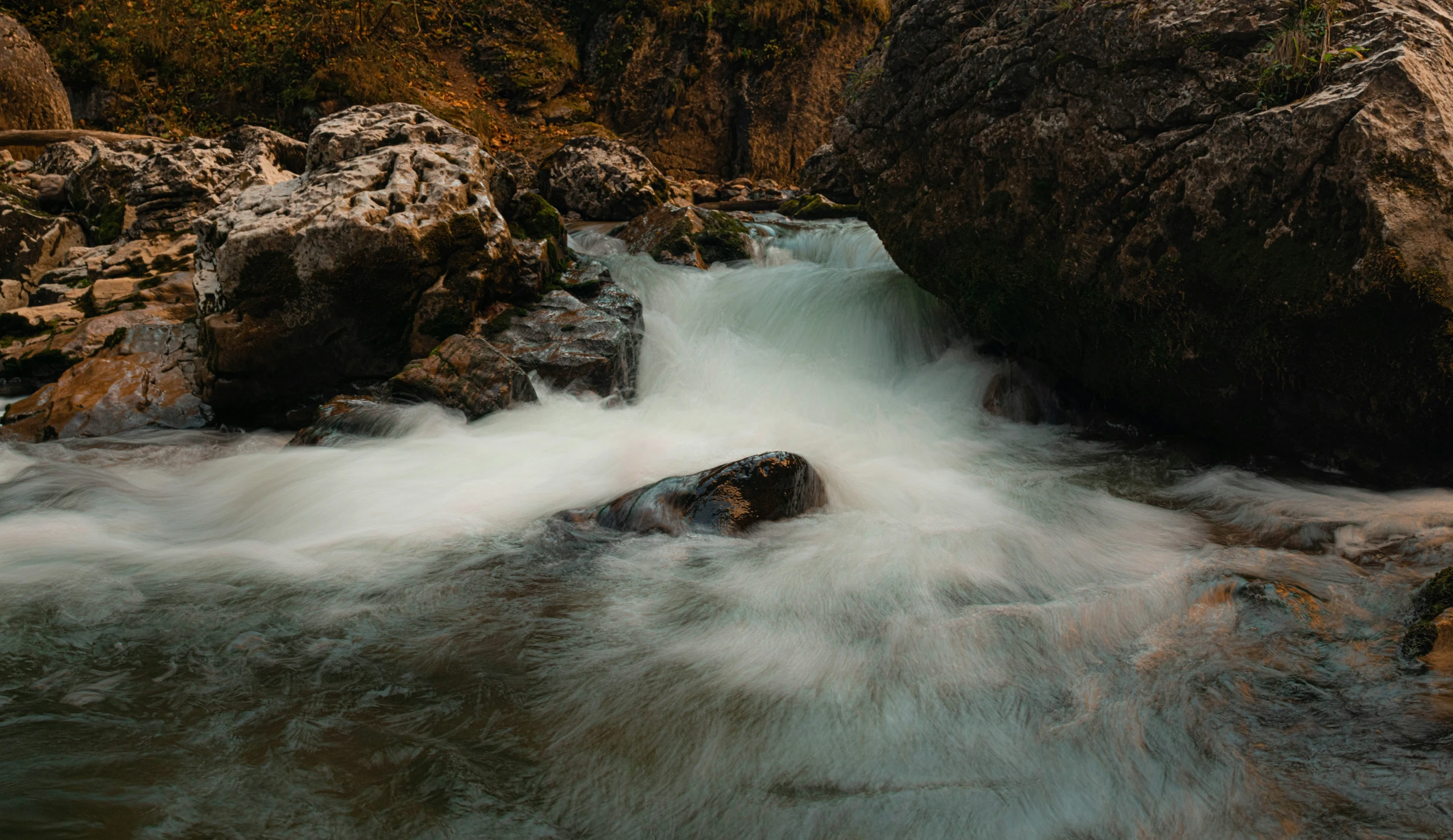 a river rushing between the rocks in the woods