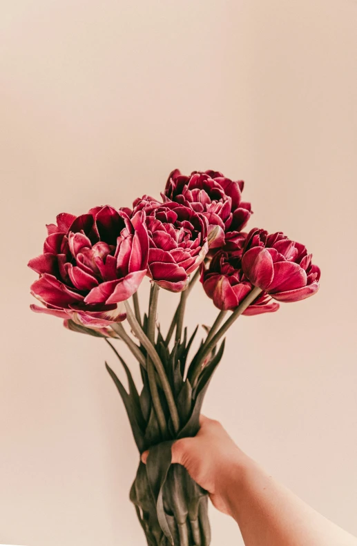 a woman holding a bouquet of red flowers