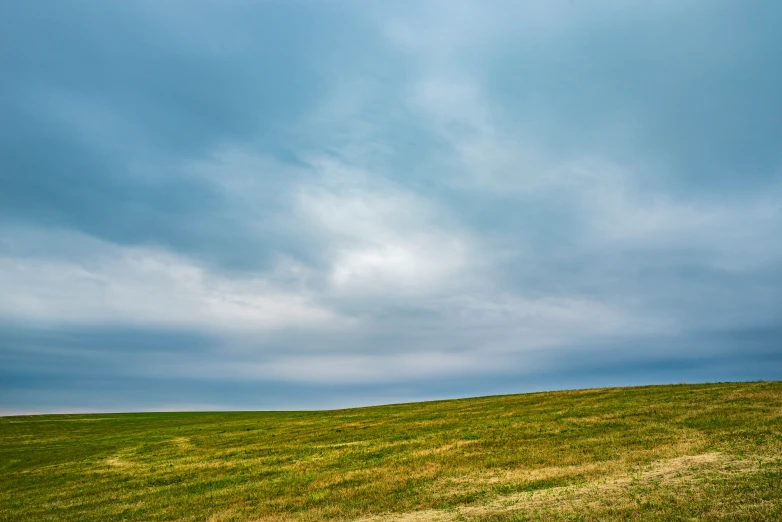 a single horse walking along the top of a green hillside