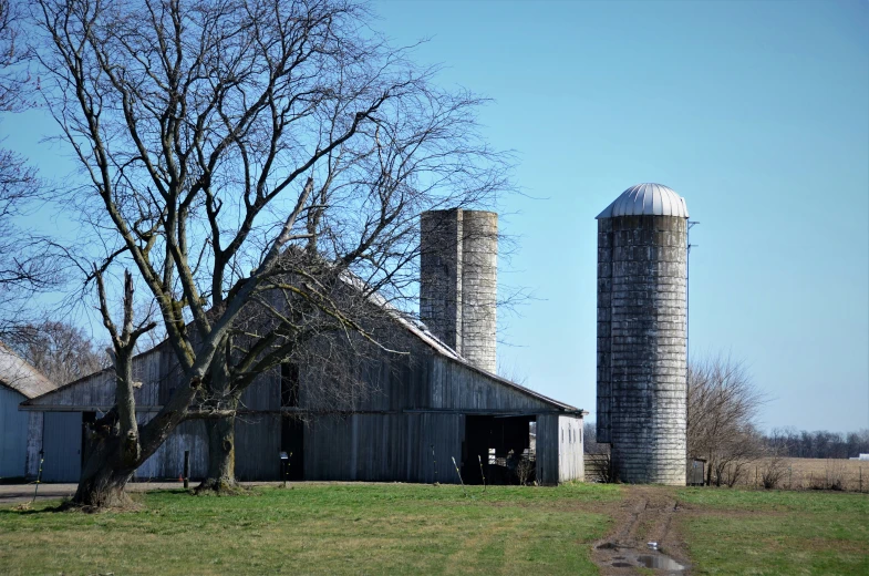 the barn with two silos stands near a tree