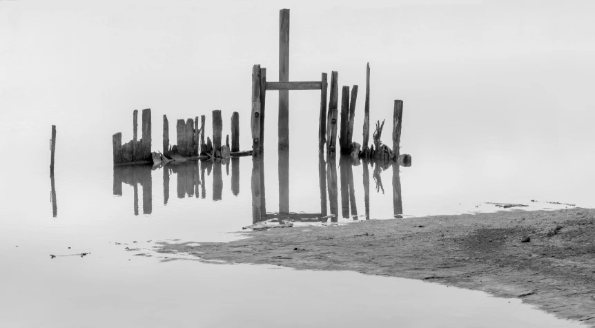 the wooden posts in the water are reflected