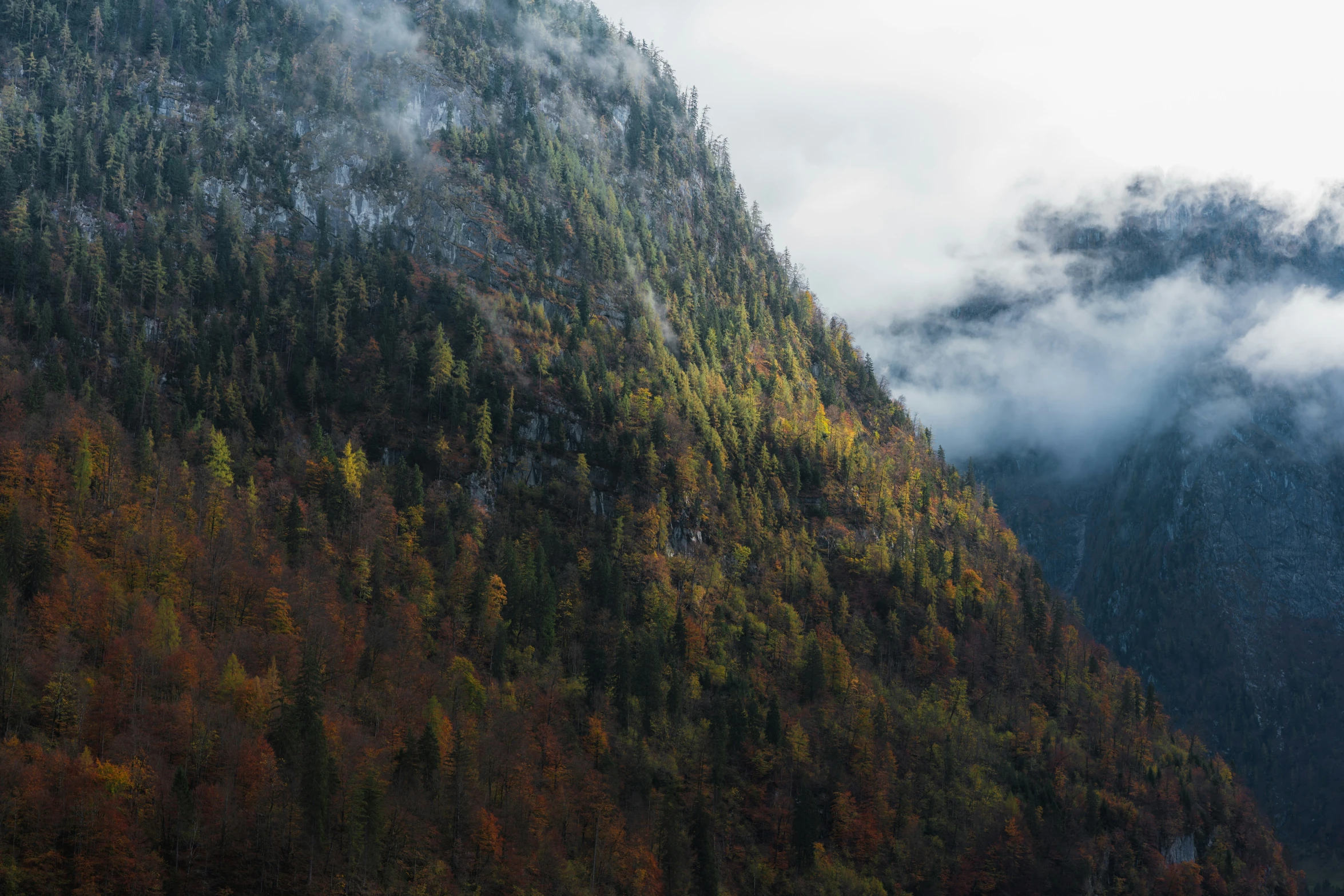 a large mountain that has trees on it