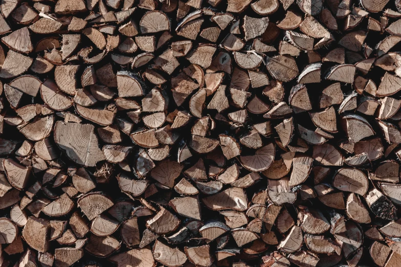 close up of large piles of logs on ground